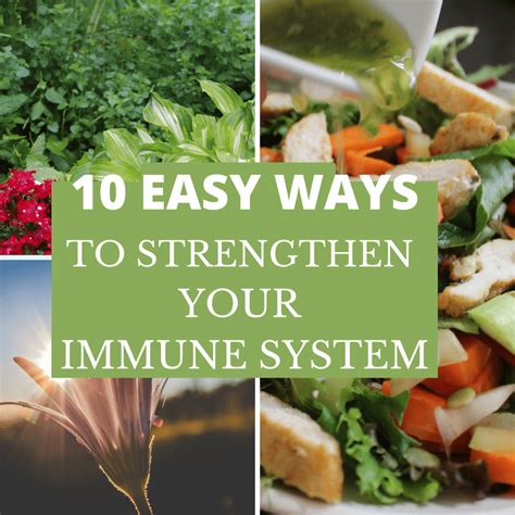 Easy Ways To Strengthen Your Immune System Mysty Pfeffer