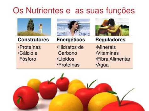 A Saúde A Nutrição And Os Nutrientes 4