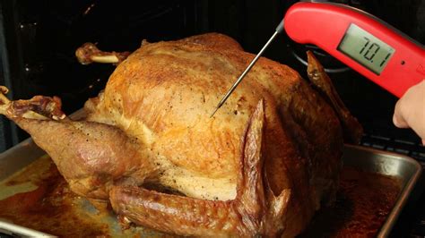Smoked Turkey Temp Probe Placement Interesting Facts Durenpurple