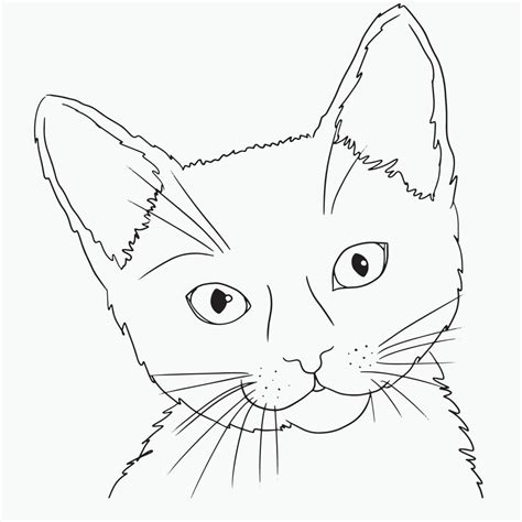 Cat Line Art Kitty Face Outline Drawing Simple Sketch Minimalist