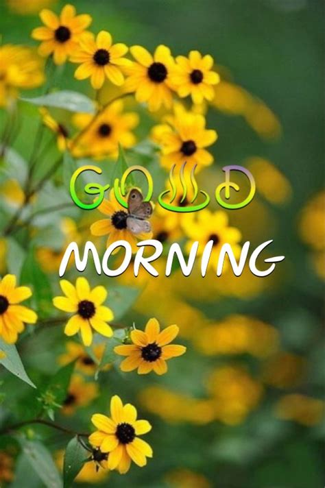 Yellow Flowers With The Words Good Morning On Them