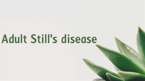 Adult Still S Disease Symptoms Causes Treatment Diagnosis