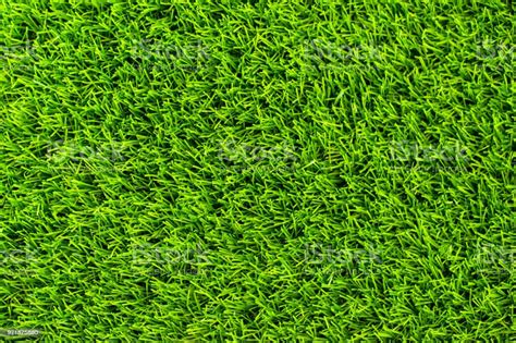 Background Green Grass Top View Stock Photo Download Image Now Istock