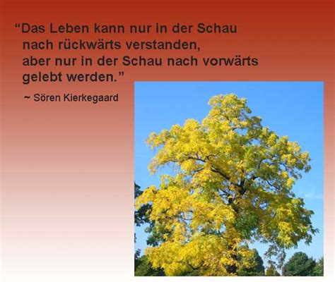 Was uns ausmacht, ist, wie wir aus unseren fehlern lernen. Zitate Leben - Sprüche über das Leben und den Sinn des ...