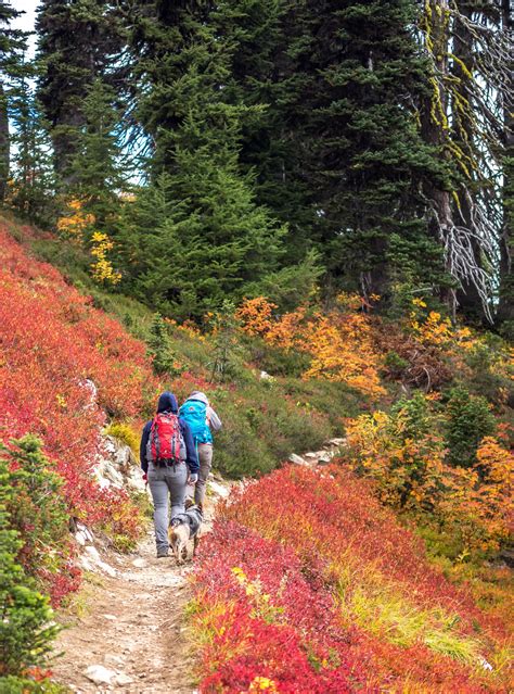 Hiking In The North Cascades National Park Washington State Us Hiking