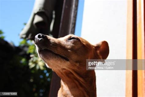 Pinched Face Photos And Premium High Res Pictures Getty Images