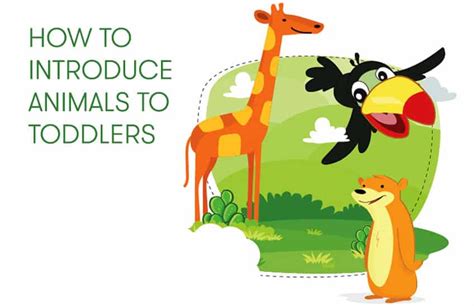 8 Ways To Introduce Animals To Children Nutspace