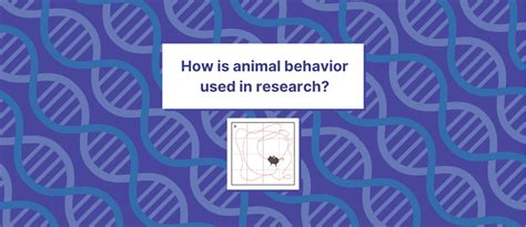 How Is Animal Behavior Used In Research Tess Research Foundation