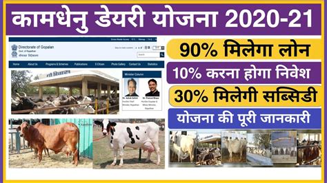 राजस्थान कामधेनु डेयरी योजना 2020 गौपालन आवेदन Kamdhenu Daily
