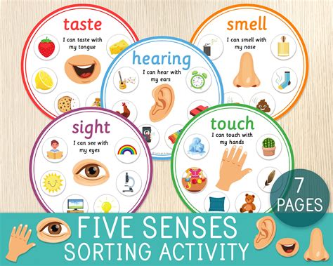Five Senses Sorting Activity 5 Senses Classification Game Etsy Australia
