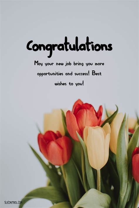 145 Best Wishes For New Job And Congratulations Messages Quotes