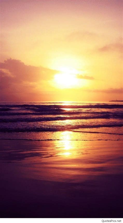 115 Beach Sunset Hd Wallpaper Iphone Mobile Phones Android