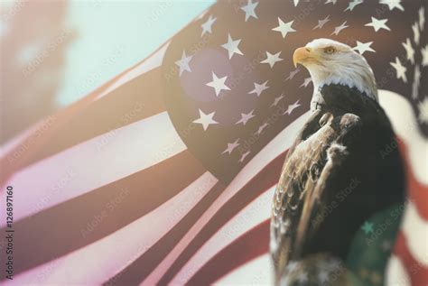 Obraz American Bald Eagle Flag Patriotyzm Bielik Symbol Amerykańskiej