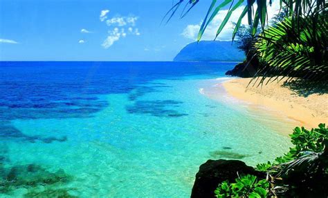 Download Hawaii Beach Desktop Background Zoom Wallpaper By