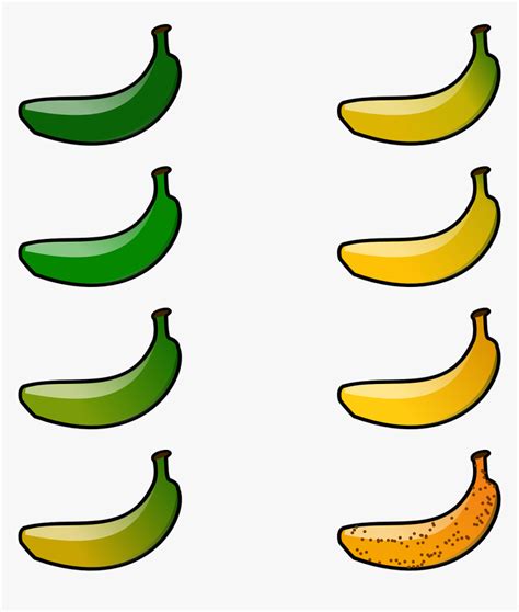 8 Bananas Clipart Hd Png Download Transparent Png Image Pngitem