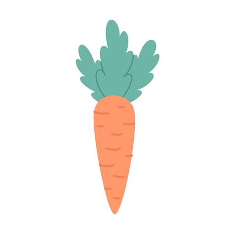 Premium Vector Cute Carrot Root Vegetables Hand Drawn Vector Illustration
