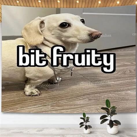 Bit Fruity Homophobic Dog Wall Hanging Tapestry Room Decoration