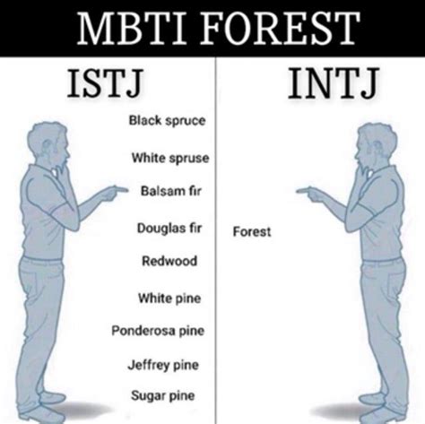 the difference between istj and intj what you need to know