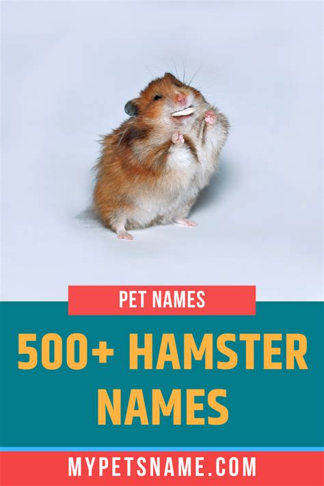 Hamster Names Hamster Names Cute Animal Names Pet Names