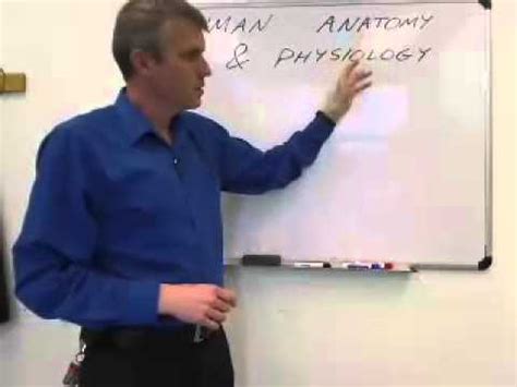 What is Human Anatomy and Physiology - YouTube