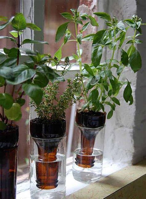 14 Best Diy Self Watering Container Garden Ideas Balcony