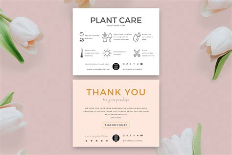 Templates Succulent Plant Instructions Card Care Digital Editable Plant