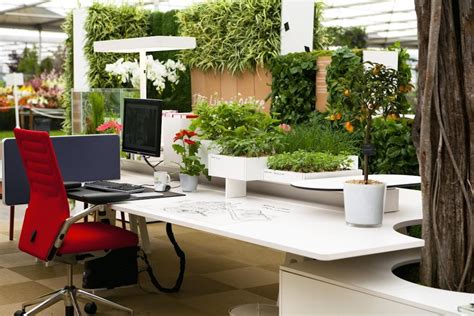 Biophilic Design And Wellbeing In The Workplace