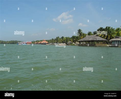 Backwaters And Coconut Palms Trivandrum Kerala India Stock Photo Alamy