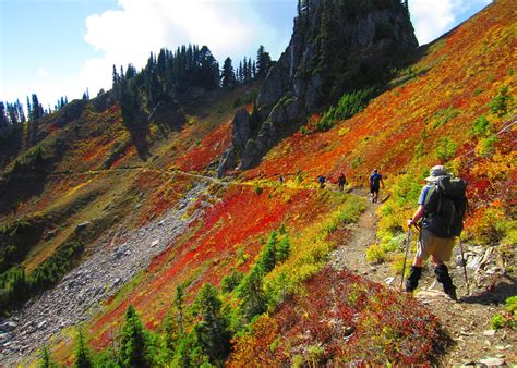 Use our easy lodging search to find exactly the type of accommodation you are looking for at the right price. Backpack Olympic National Park, Washington - Sierra Club