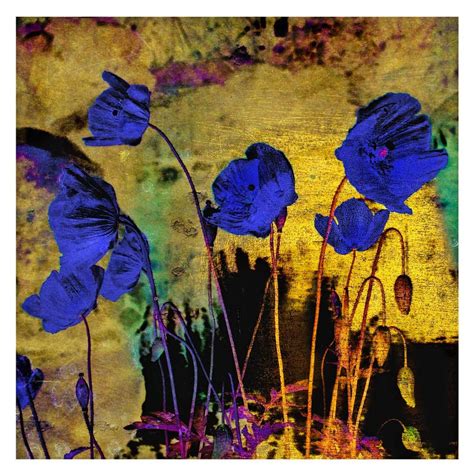 Blue Poppies For Redon Limited Edition Fine Art Print With Images
