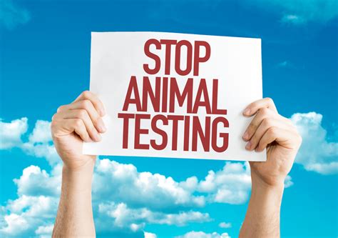 7 Reasons To Avoid Animal Testing Makeup By Nancy Massachusetts Makeup