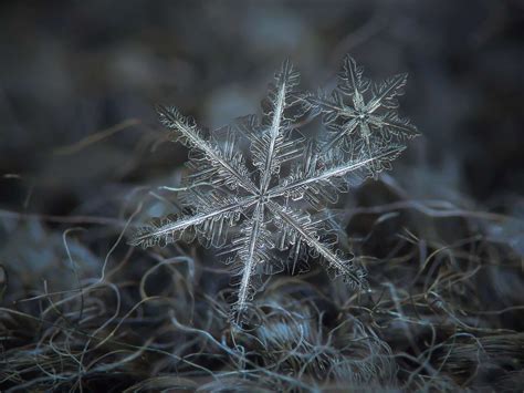 Heres Another Shot Of Two Snowflakes That Buddied Up Alexey Kljatov