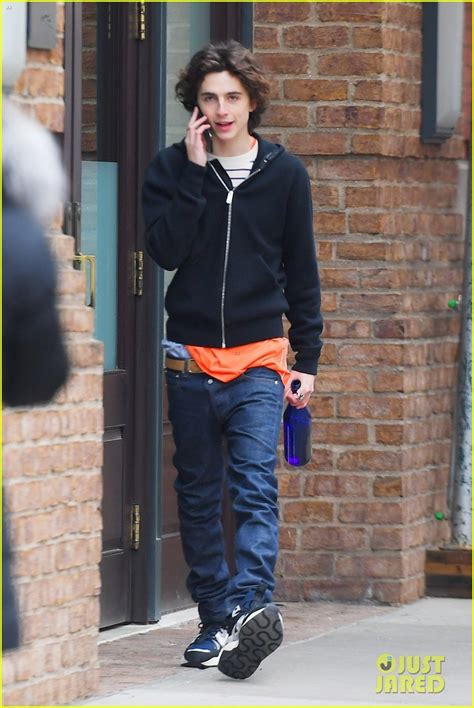 Timothee Chalamet Takes Phone Call During Afternoon Stroll Photo