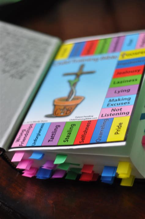 The Child Training Bible Review The Curriculum Choice