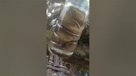 Vlog Mancing Viral Ikan Dimasukan Di Dalam Botol Aqua Minum 😁😂 Youtube