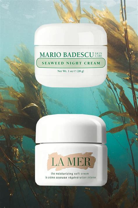 Today, i'm creating my makeup tutorial using focallure cosmetics. This Seaweed Night Cream Is the Best La Mer Moisturizing ...