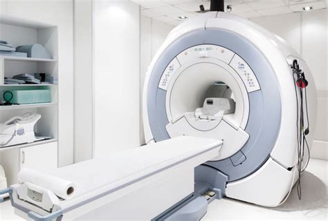 Dog Mri Cost 2023 Worth It Or Not Pawleaks