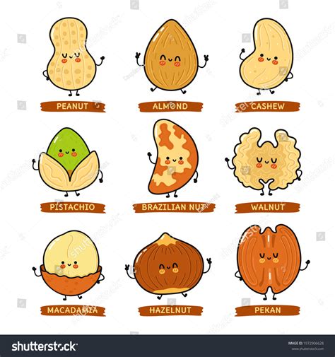 Funny Cute Happy Nuts Characters Bundle Stock Vector Royalty Free