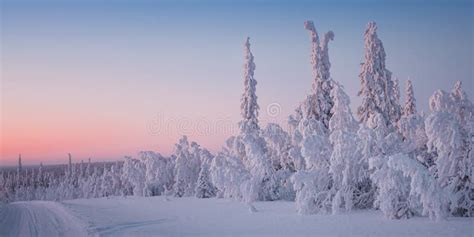 Beautiful Winter Landscape In Lapland Finland Stock Photo Image Of
