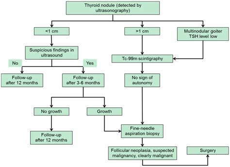 Ijms Free Full Text Differentiated Thyroid Cancer—treatment State