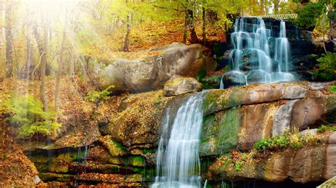 Amazing Forest Cascades Wallpapers Wallpaper Cave