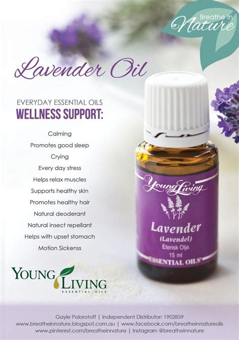 Young living's lavender essential oil has a fresh, floral scent and a variety of uses. Find Out What Are the Top 7 Lavender Oil Benefits on Your ...