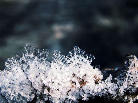 Kristalle Eis Schnee Kostenloses Foto Auf Pixabay
