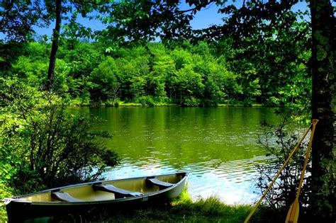 Green Lake Wallpapers Images Of East Texas Pinterest