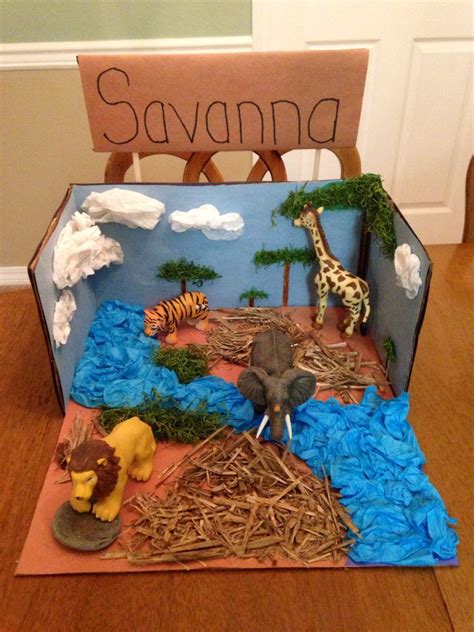 Savanna Biome Project Diorama Kids Kids Art Projects Biomes Project