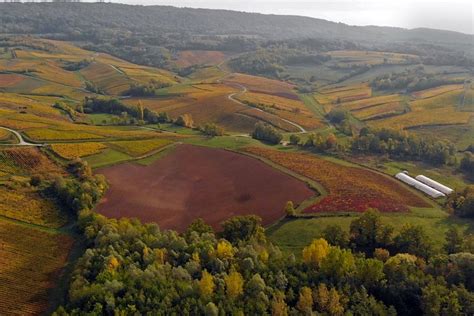 Tripadvisor Les Jewels of Jura vinho tudo incluído e excursão