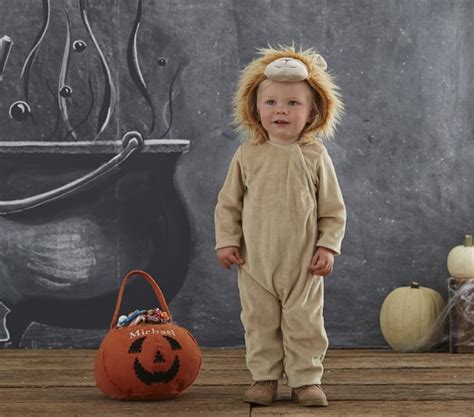 The pace of global regulations is hard to predict, but we have the. Baby Lion Costume | Pottery Barn Kids