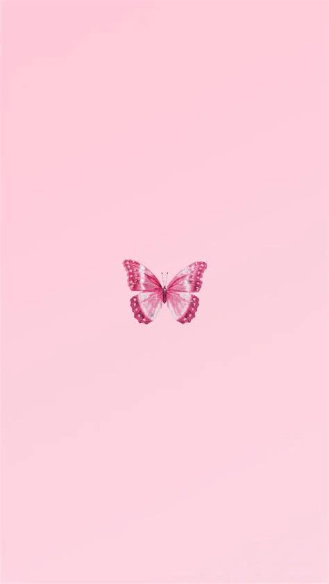 Pink Butterfly Wallpapers Try It Now By Clicking Pink Butterfly