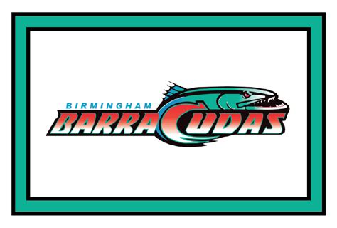 Barracuda Sports Logos Spor Repor