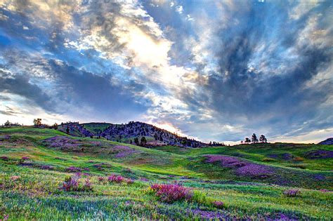 Mountain Meadow Of Flowers Photograph By John Lee